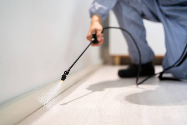 Licensed Pest Control service in Sterling, GA - Show Me Pest Control